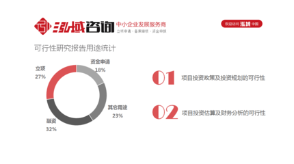 营口项目可行性研究报告编制难点及重点分析_其它_网