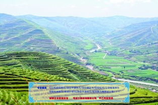 生态食品行业可行性研究报告 生产厂家与定价策略分析