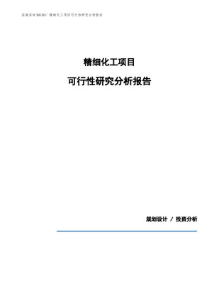 精细化工厂项目可行性研究报告